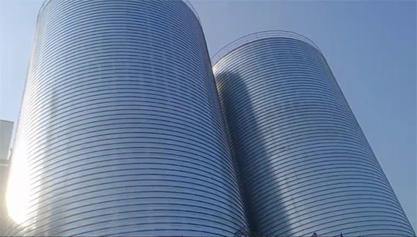 大洼2座混凝土高架卷板仓